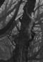show_me_what_i_m_looking_for_by_diezori_daybc63-fullview.jpg