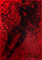 3_front.png